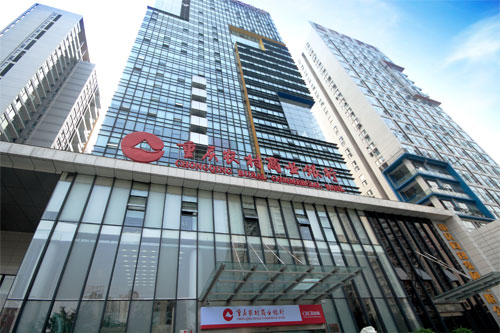 重庆农商行灾备数据中心解决方案 河山案例
